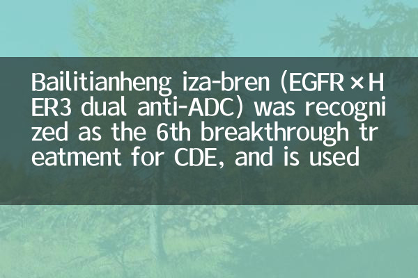 Bailitianheng Iza-Bren (EGFR × HER3 Двойной анти-ADC) был признан 6-м прорывным лечением CDE и используется для устойчивого к платиновым рецидивирующим раку яичника и т. Д.